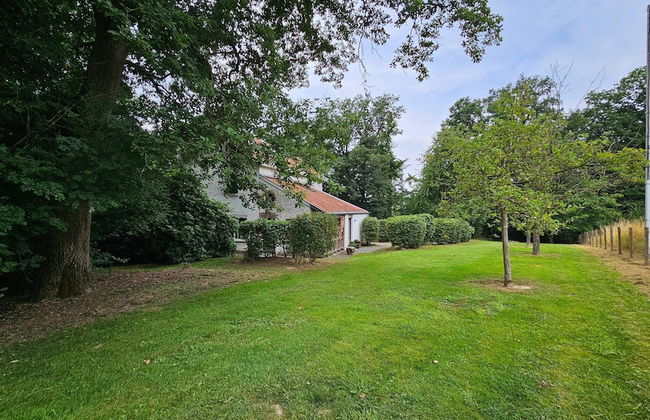 Nice House with Sauna, Fireplace, & Large Garden near Aubel - Foto 44