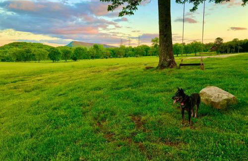 Little River Guest House at Tennessee RiverPlace - Foto 70