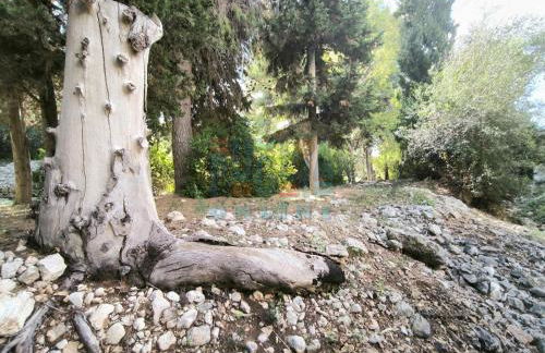 Casa Vacanza Lu Mare Puglia On line - Foto 37