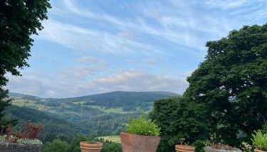 Chez Bernadette - Foto 3