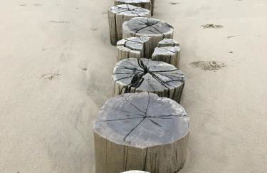 Ferienwohnung Bunte Kuh Wangerooge - Foto 16