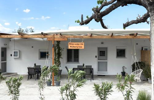 Relax under the mulberry tree - Foto 65