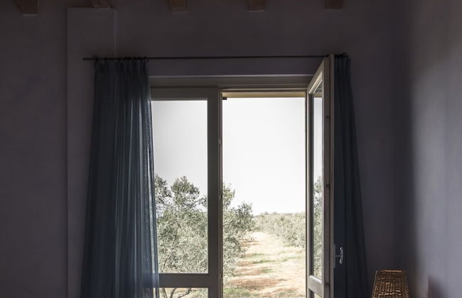 Podere l'Agave - Foto 18