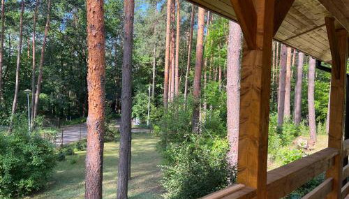 Leśna Oaza Radawa - Foto 4