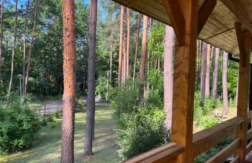 Leśna Oaza Radawa - Foto 4