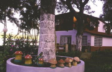 Chacara do Tche - Foto 26