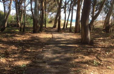 Beach House Vaccarizzo - Foto 6