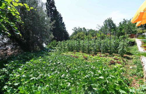 Charming Holiday Home With Terrace and Garden - One Bedroom Holiday Home - Foto 33