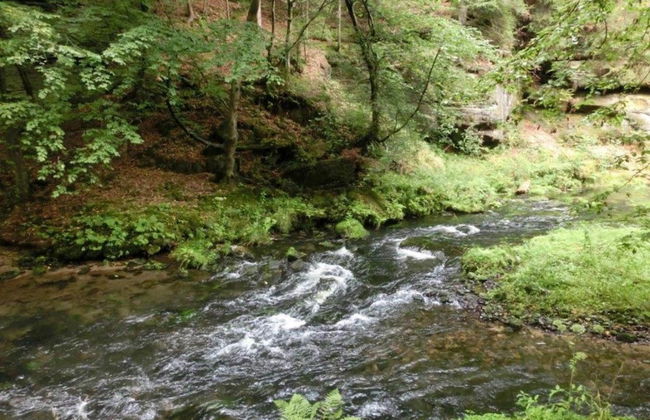 Terrassen-retreat in Sachsen - Foto 37