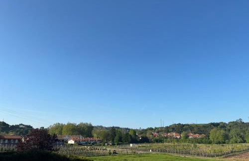 El Gallo Azul - Foto 10