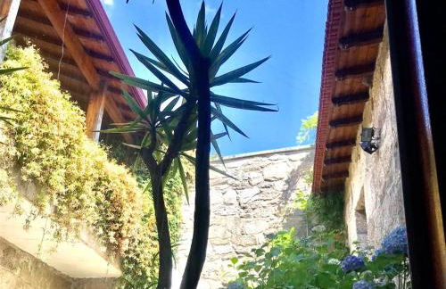 Janelas da Cabreira - Foto 12