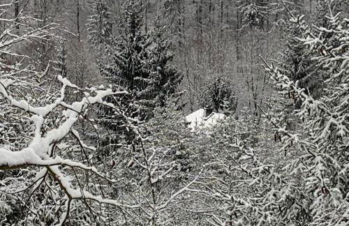 Ferienwohnung Eulennest - Foto 40