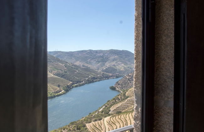 Quinta da Veiga - Foto 39