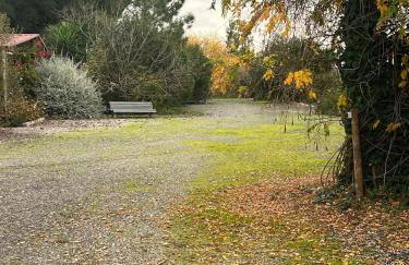 Casa Pinheiro - Foto 13