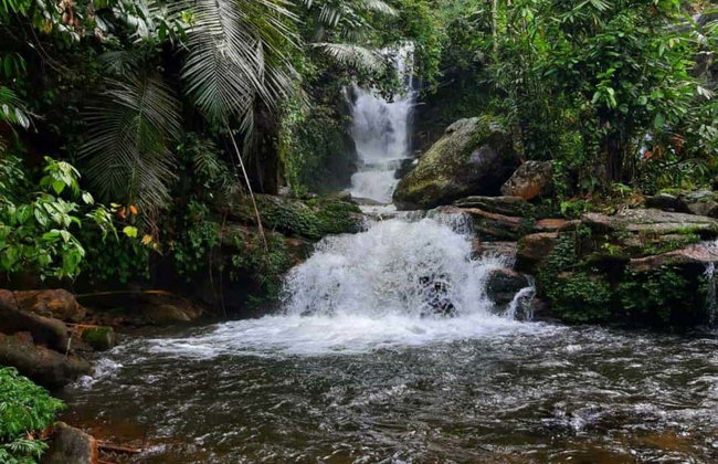 Tour privado en 4x4 por las cascadas de Munnar - Foto 13