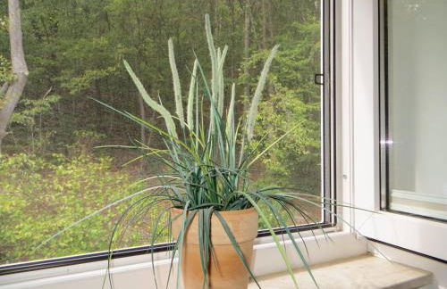 Weisses-Haus-am-Kurpark-Fewo-Waldblick - Foto 18