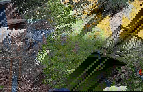 FNM LUXURY BUNGALOVS - Photo 10