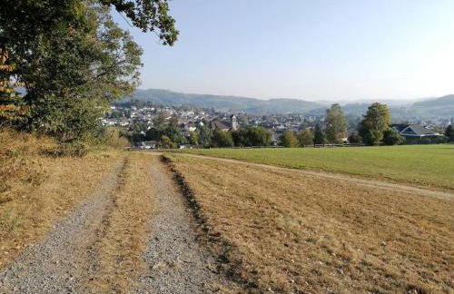 Sauerlandluft - Foto 20