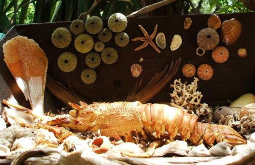 Tilemachos Traditional House - Foto 35