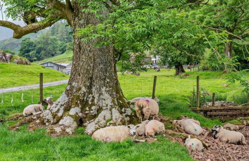 1 Bed in Penrith oc-85531 - Foto 18