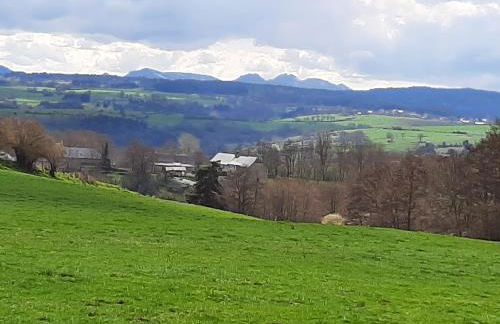 Cantal maison individuelle - Photo 25