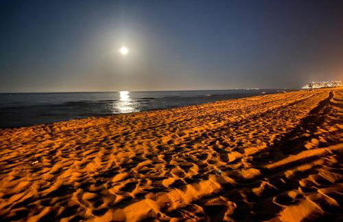 AEROPUERTO El ALTET - Photo 18