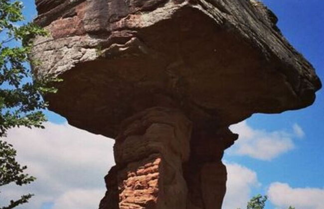 Holiday Apartment Rappenfels Lodge - Photo 19