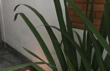 Loft 2 Conforto ao lado do Centro Histórico - Foto 28