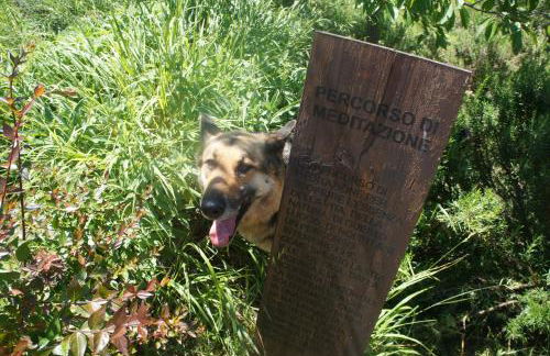 EcoResort Il Cantico della Natura - Photo 53