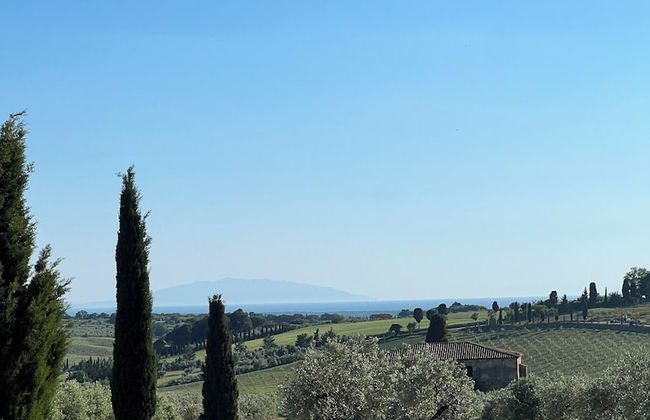 Fattoria Podere i Luoghi - Foto 48