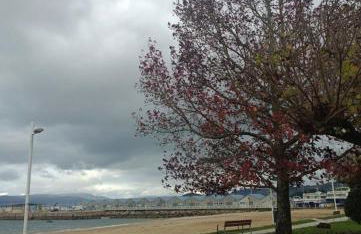 A beira do Mar - Foto 11