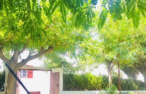 Giannakis Filoxenia - Foto 12