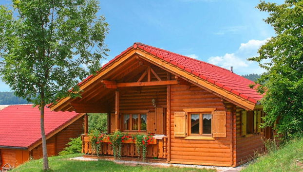 Blockhauser in Stamsried - Foto 2, Profilbild