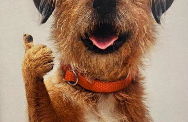 Lovely newly refurbished, 1 bedroom top floor apartment with sea views, fast WI-FI CABLE TV and Netflix - Foto 33