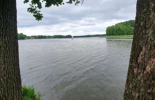 Domek Jabłonka - Foto 28