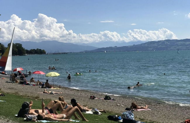 Holiday Apartment Seagull - Photo 11