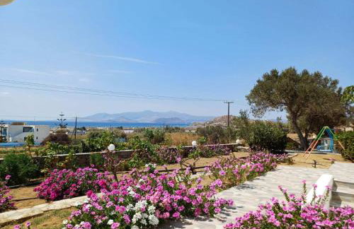 Dina's Diamond - Foto 51