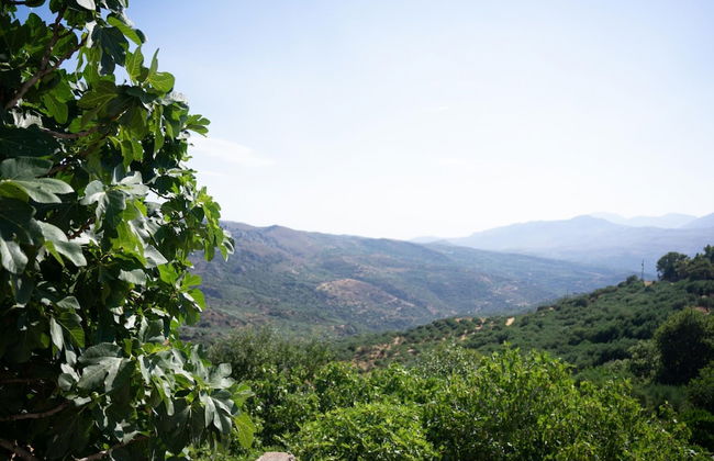 Charming Cretan House 2BR 2bths Wifi - Foto 26