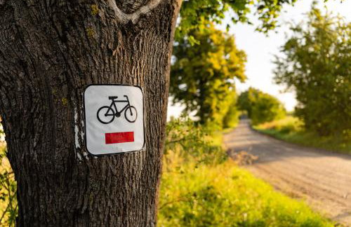 Gulbity Camp - Foto 52