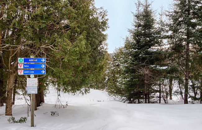 Villa du Nord Morin Heights - Photo 43