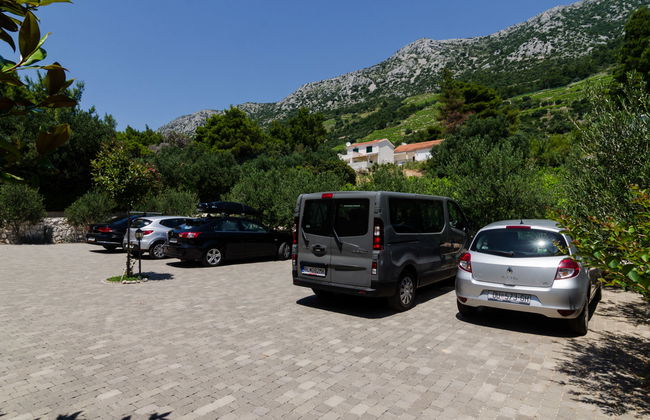 Plavac Mali - Foto 27