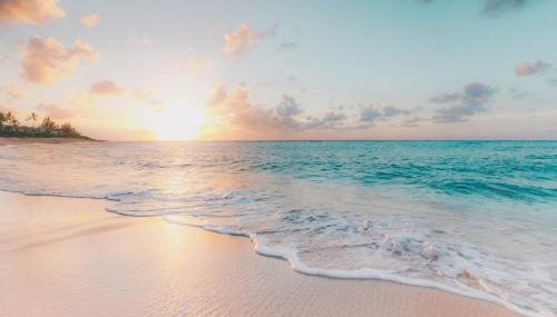 Madeira Bonita - Foto 2