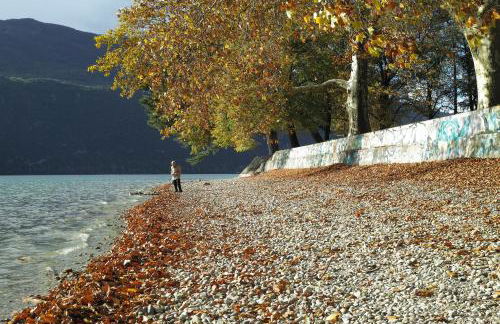 La Grange du Lac du Bourget - Foto 25