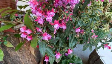 Just an uber cool flat! London Bridge - Foto 2