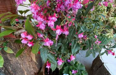 Just an uber cool flat! London Bridge - Foto 2