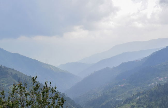 Chail Cabana by Dumnu Homes - Foto 41