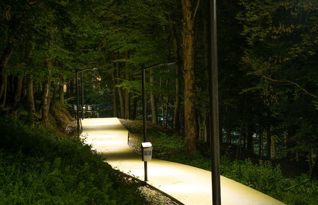 Crystal Residence - Foto 31