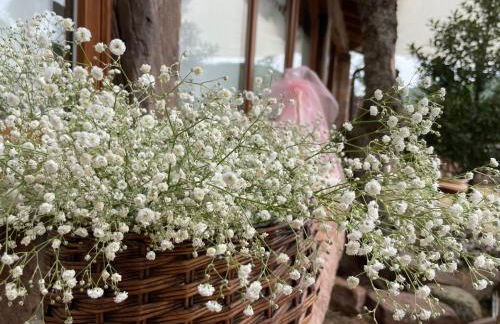 El Rincón de Golobar en Brañosera - Foto 60