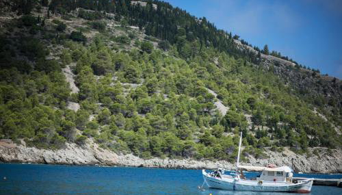 Villa Vivere - Photo 5