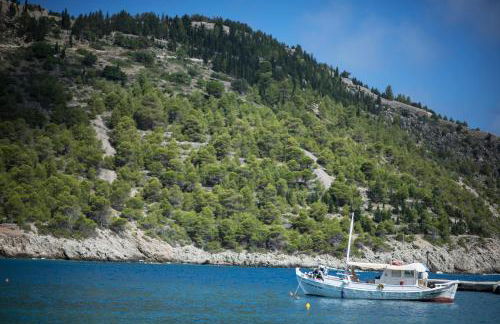 Villa Vivere - Photo 5